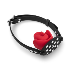 Bit gag with a red silicone mouthpiece and adjustable black strap.